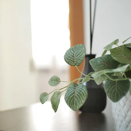 Modern 1 Bedroom Near Metro 罗马