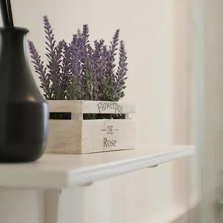 Modern 1 Bedroom Near Metro 公寓 罗马